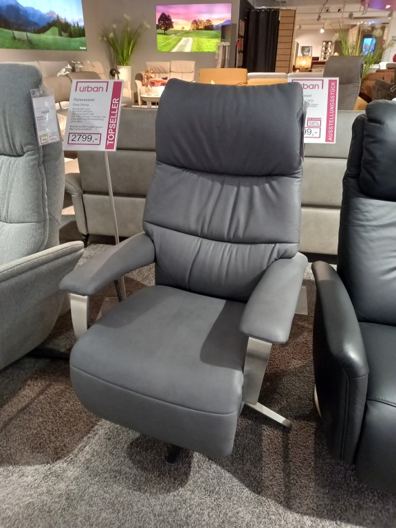 Relaxsessel Easy Swing 7050